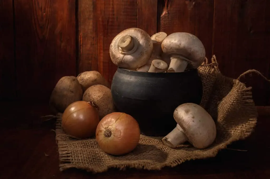 Livres de cueillette de champignons générés par IA envahissent Amazon