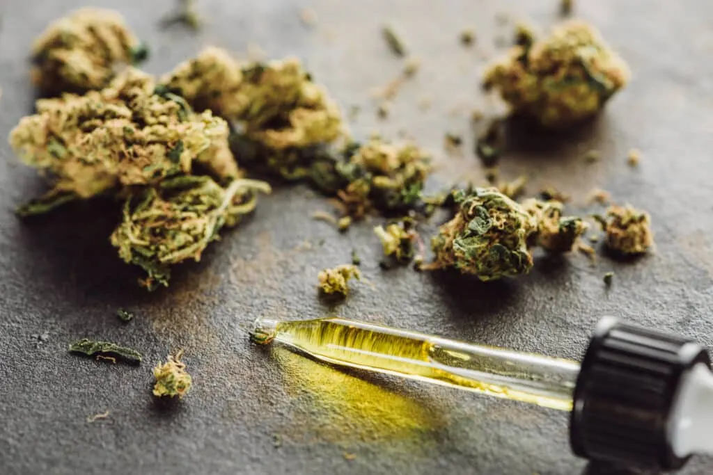 PureHemp : découvrez les bienfaits du CBD sur Waxoo.fr