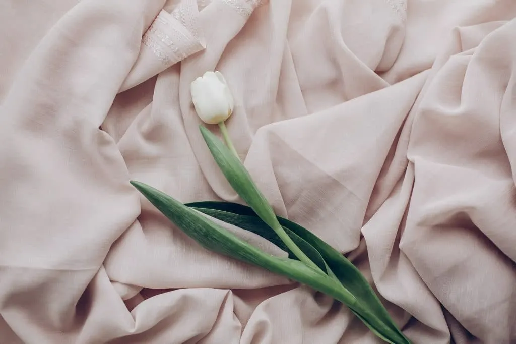 Meilleurs moments pour poster sur Instagram