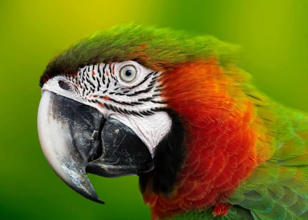 découvrez amazon, la plateforme de e-commerce incontournable qui propose des millions de produits, des offres exclusives et un service de livraison rapide. explorez un large éventail de catégories allant de l'électronique à la mode, et profitez d'une expérience d'achat en ligne simplifiée et sécurisée.