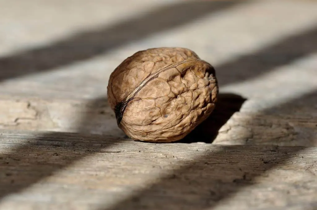 découvrez les produits périmés facilement grâce à notre outil innovant de détection rapide et efficace.